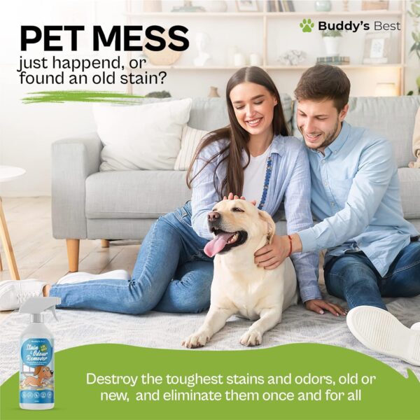 Stain & Odour Remover For Dogs | Enzyme Dog Urine Neutraliser | 500ml - Image 5