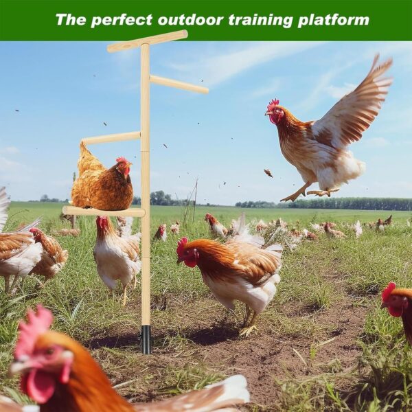 Chicken Perch for Coop - Outdoor Poultry Chicken Stand Perch Toy,Playground Birds Training Branch Perch with Ground Plug for Cockatiels, Parrots, Turkeys, Hens, Lovebirds - Image 9