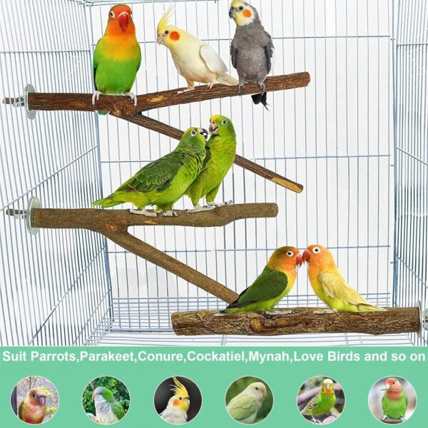 Natural Wood Parrot Stand Set, 5 pcs Bird Perch Birdcage Stand Branch, Platform Cage Accessories for Parrotlets Budgies Cockatiels Parakeets Lovebirds - Image 4