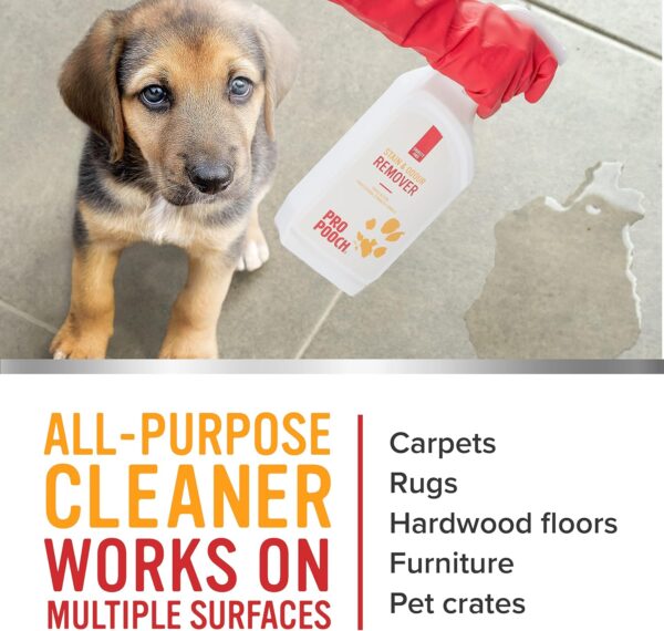 Pro Pooch Pet Carpet Cleaner Spray - 1 Litre of Cat and Dog Urine Neutraliser and Odour Remover - Image 4