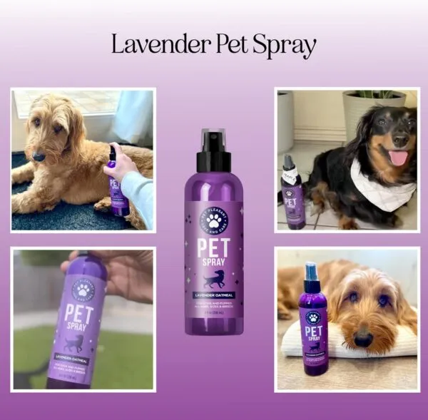 Cleansing Dog Deodorant Spray - Sulphate Free Dog Spray for Smelly Dogs and Detangling Spray for Dogs and Puppies with Lavender Essential Oil - Refreshing Dog Grooming and Dog Calming Spray - 236 ml - Image 2