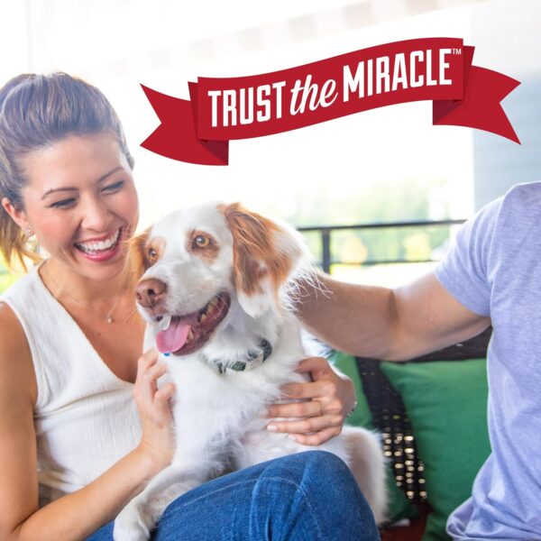 Nature's Miracle P-96987 Advanced Stain and Odor Eliminator Dog, For Severe Dog Messes, Sunny Lemon Scent,32 oz - Image 9