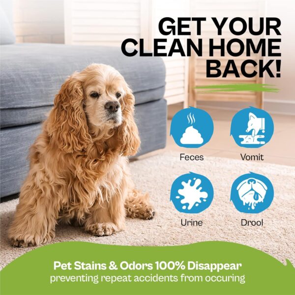 Stain & Odour Remover For Dogs | Enzyme Dog Urine Neutraliser | 500ml - Image 3