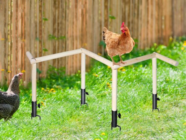 Large Chicken Perch Toy for Coop, Wooden Chick Perch Stand with Metal Ground Plug, Chicken Coop Backyard Poultry Accessories, Suitable for Poultry Rooster Chicks Large Bird Parrot - Image 3