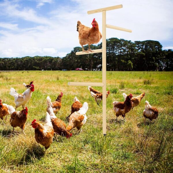 Chicken Perch for Coop - Outdoor Poultry Chicken Stand Perch Toy,Playground Birds Training Branch Perch with Ground Plug for Cockatiels, Parrots, Turkeys, Hens, Lovebirds - Image 3