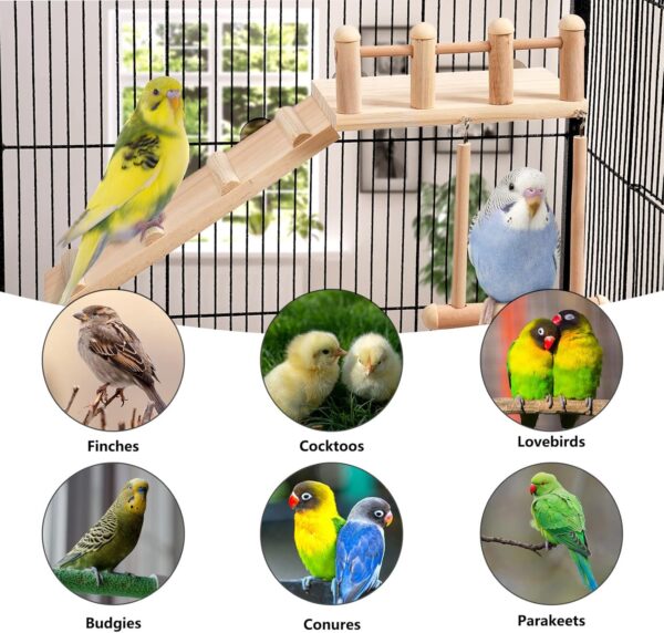 TeTupGa Hamster Bird Perches Cage Toys Parrot Wooden Platform With Climbing Ladder Playing Gyms Exercise Stands Wood Swing Chewing Toys Sets For Animals Green Cheeks, Baby Lovebird, Chinchilla, Budgie - Image 4