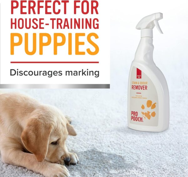 Pro Pooch Pet Carpet Cleaner Spray - 1 Litre of Cat and Dog Urine Neutraliser and Odour Remover - Image 7
