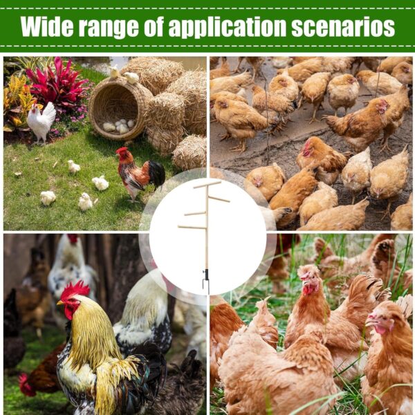 Chicken Perch for Coop - Outdoor Poultry Chicken Stand Perch Toy,Playground Birds Training Branch Perch with Ground Plug for Cockatiels, Parrots, Turkeys, Hens, Lovebirds - Image 4