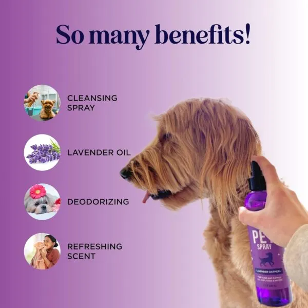 Cleansing Dog Deodorant Spray - Sulphate Free Dog Spray for Smelly Dogs and Detangling Spray for Dogs and Puppies with Lavender Essential Oil - Refreshing Dog Grooming and Dog Calming Spray - 236 ml - Image 3