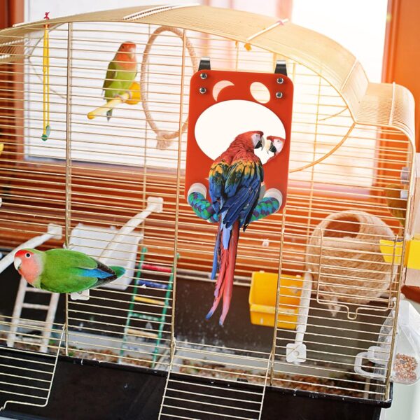 Esenlong Acrylic Bird Mirror with Rope Perch Parrots Bird Toy with Perch for Greys Amazons Parakeet Cockatiel Lovebirds - Image 5