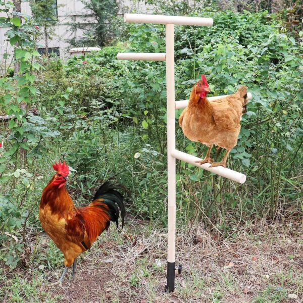 Chicken Perch for Coop - Outdoor Poultry Chicken Stand Perch Toy,Playground Birds Training Branch Perch with Ground Plug for Cockatiels, Parrots, Turkeys, Hens, Lovebirds - Image 2