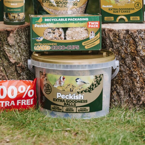 Peckish Extra Goodness Energy Ball 50 Tub, 60051413 - Image 6