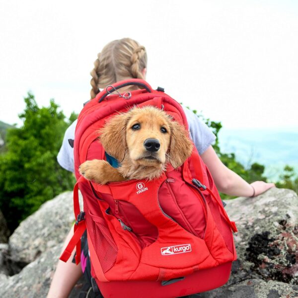 Kurgo G-Train Pack, Carrier Backpack for Small Dogs and Cats, Ideal for Hiking or Travel, Waterproof Bottom, Chili Red - Image 7