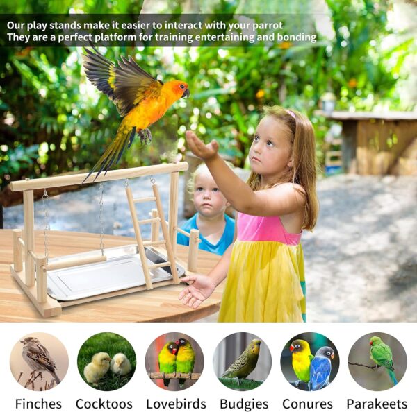 TeTupGa Natural Wood Bird Playground Parrot Playstand Play Gym Stand Playpen Perches Ladder Swing Platform with Toys Exercise Playgym for Budgie,Canary,Cockatiels,Conures,Parakeets,Lovebird,Finch - Image 2