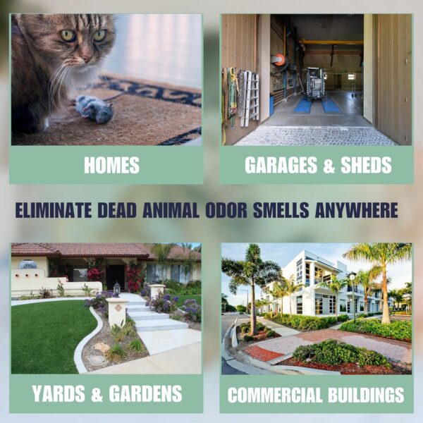 SMELLEZE Dead Animal Odor Eliminator for Strong Odor Removal - Eliminate Dead Rodent & Wildlife Smell - Safe Indoor & Outdoor Use, Natural Odor Remover, Fresh & Effective - 1 Pouch. - Image 6