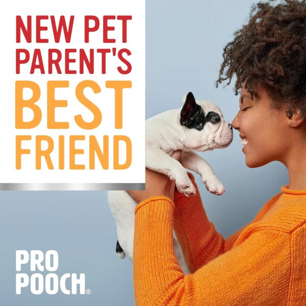 Pro Pooch Pet Carpet Cleaner Spray - 1 Litre of Cat and Dog Urine Neutraliser and Odour Remover - Image 9