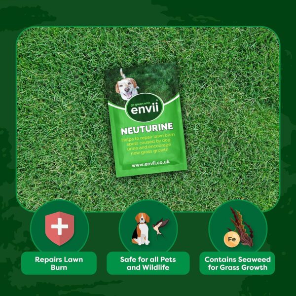 Envii Neuturine – Effective Dog Urine Neutraliser for Grass, Lawn Patch Repair, Stop Dog Wee Burning Grass, Dog Pee Grass Repair, Safe for All Pets & Wildlife - Image 3