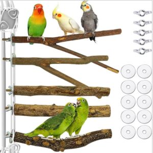 BDHI 5pcs Bird Perch Stand Bird Parrot Perches for Cage Perches for Bird Cages Natural Wood Perch Parakeet Toys for Parakeets Cockatiels Conures Macaws Finches Love Birds(Y147-5)