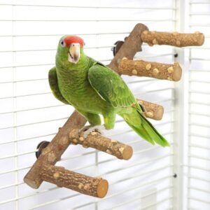 Bird Ladder Perch Cage Nature Wood Stand Parrot Chew Toy for Small Medium Parrot Animal (M)