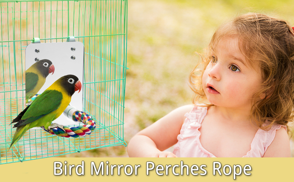 Mirror for Bird Cage