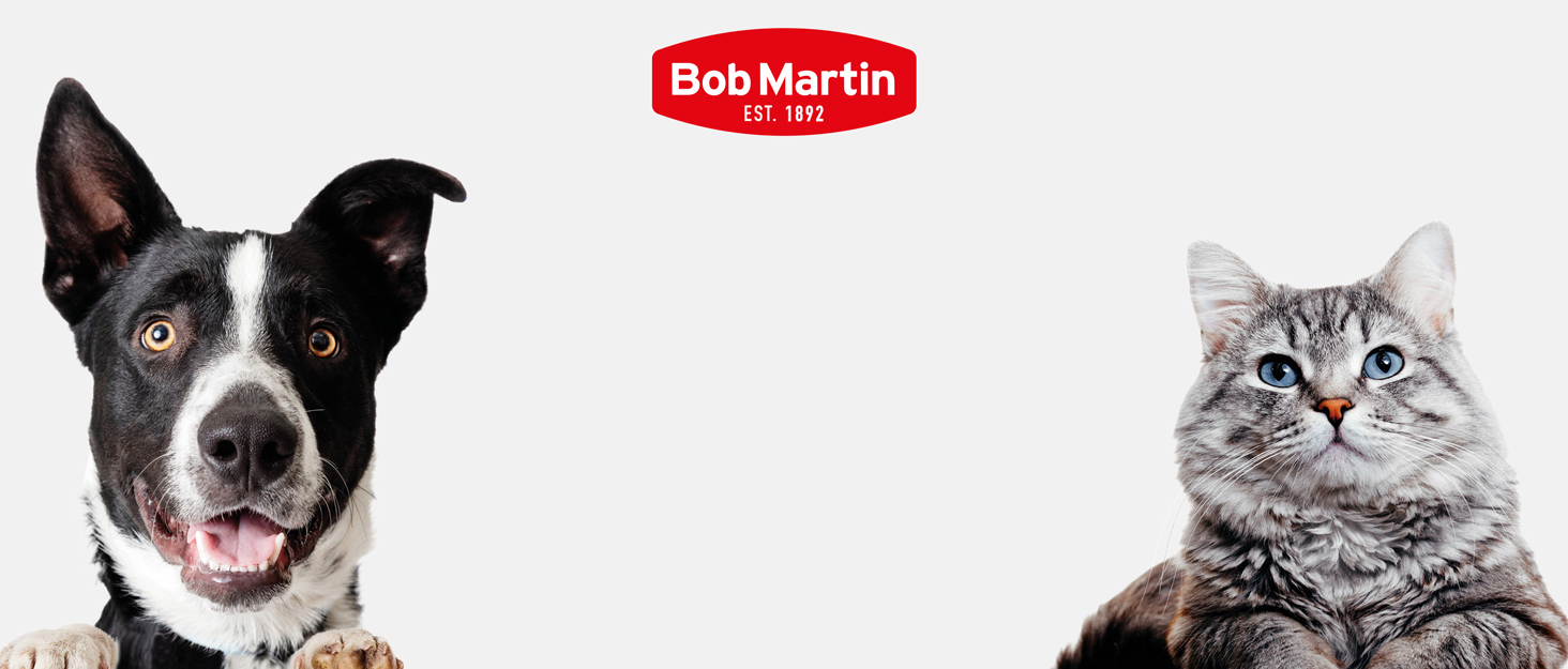 Bob Martin - Brand Story Header