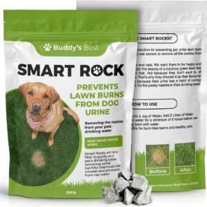 Buddy's Best 200g Smart Rocks: Natural Pet Water Purifier & Lawn Protector, Safe Mineral Solution for Dogs, Eliminates Nitrates & Ammonia, Promotes Green Grass