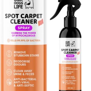 Carpet Cleaner Spray - Carpet Stain Remover, Carpet Deodorizer | Carpet Stain Remover for Old Stains with Pro-Bacteria Cleaning Power 250ml