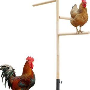 Chicken Perch for Coop - Outdoor Poultry Chicken Stand Perch Toy,Playground Birds Training Branch Perch with Ground Plug for Cockatiels, Parrots, Turkeys, Hens, Lovebirds