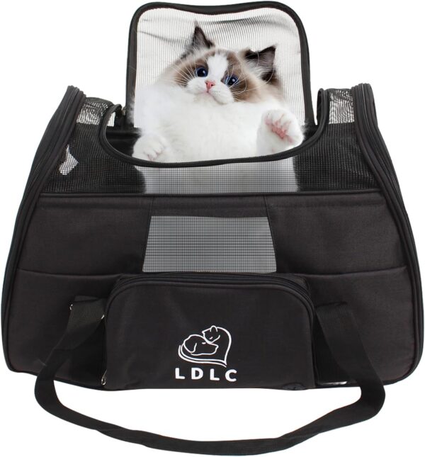 DAWOO Cat Carrier Airline-Approved Travel Pet Carrier,Dog Carrier,Suitable for Small and Medium-Sized Cats and Dogs