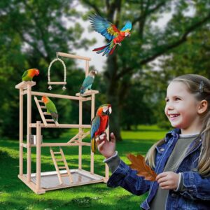 DONILIGA Bird Playground, 4 Layers - Suitable for Small to Medium Birds Like Parakeets, Lovebirds, Conures and More, Natural Wood Perch, Play Stand