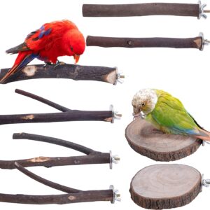 Deloky 8 PCS Natural Wood Bird Perch Stand-Wooden Parrot Perch Stand-Perch Platform Cage Accessories for Parrotlets Budgies Cockatiels Parakeets Lovebirds