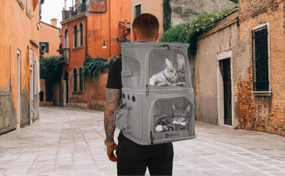 Two cat backpack