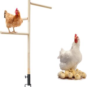 Extra Large Chicken Perch Toys, Wooden Chick Perch Stand with Metal Ground Plug, Outdoor Birds Training Platform, Chicken Coop Accessories, Suitable for Poultry Rooster Chicks Large Bird Chicks Parrot