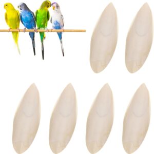 JNOUCS Cuttlefish, 6 PCS Parrots Chew Toys, Cuttlefish Bone for Birds, Big Size Cuttlefish Bone, Pet Bite Cuttlefish, for Cage Birds, Reptiles, Tortoises and Snails, 9-12cm