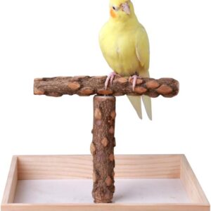 KINTOR Bird Stand Tabletop,Portable Tee Stand, Parrot Play Stand Perch Gym for Small Medium Parrot (T Stand)