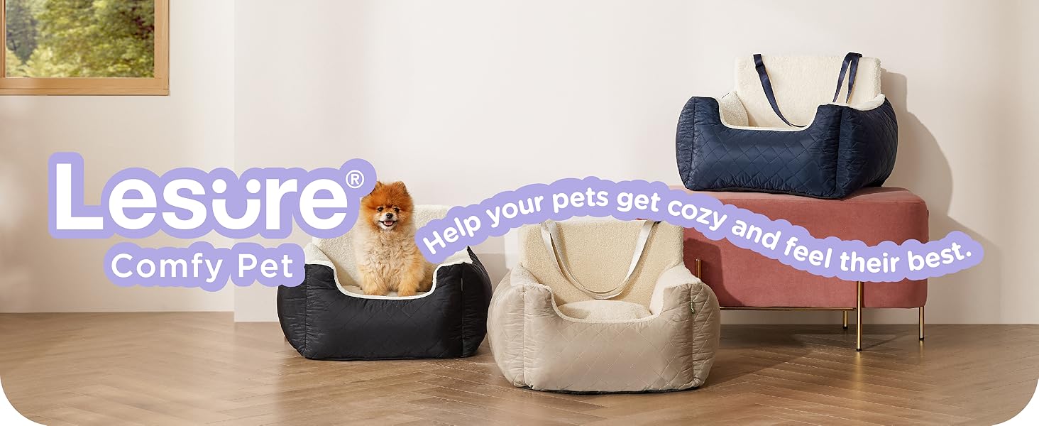 help your pets get cozy and feel their best