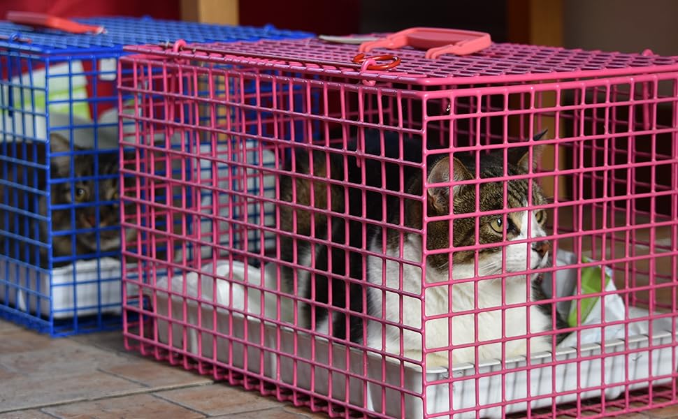 Cat Carrier