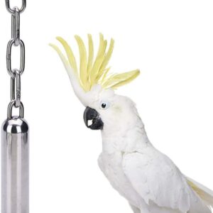 MOTTDAM Stainless Steel Bells Toy with Sweet Sound for Bird Parrot Macaw African Greys Amazon Eclectus Cockatoo Parakeet Cockatiels Conure Cage (L/ 8.4'')