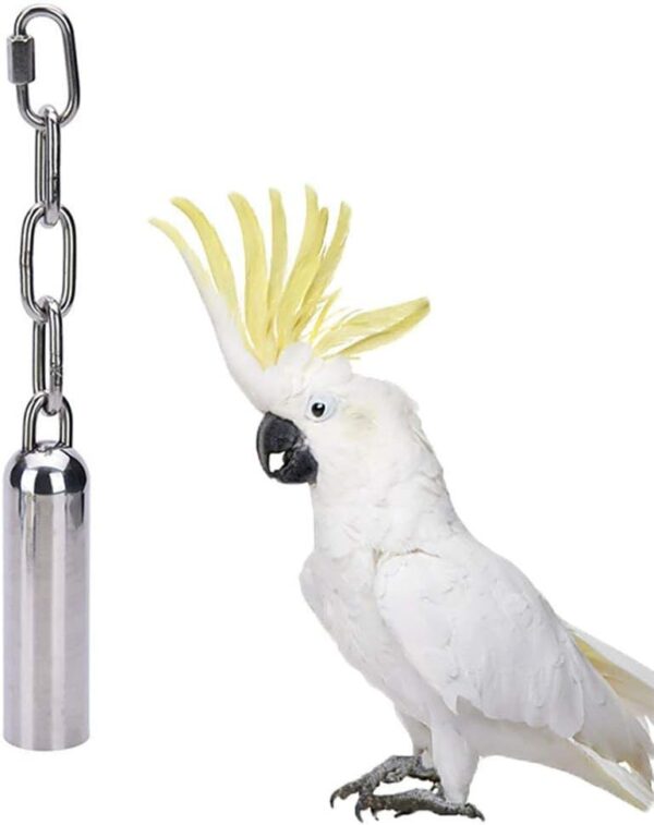 MOTTDAM Stainless Steel Bells Toy with Sweet Sound for Bird Parrot Macaw African Greys Amazon Eclectus Cockatoo Parakeet Cockatiels Conure Cage (L/ 8.4'')