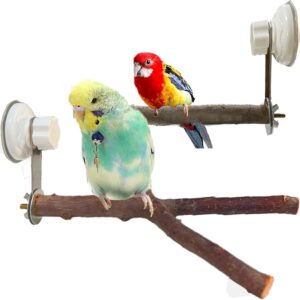 Natural Bird Perch Stand with Suction Cup for Window Mirror Car Shower Travel Bath Wood Training Perch for Small Medium Large Parrot Parakeet Cockatiel Concure Budgie Macaw Finch Y Shape Cup