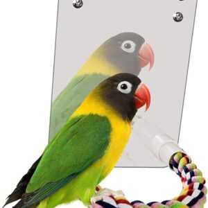 Nicoone Acrylic Bird Mirror Perches Rope for Cage Parrot/Budgies/Small Birds/Cockatiels/Parakeet Colorful Stand Toy