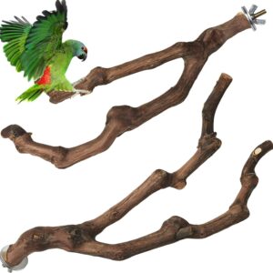 PINVNBY Natural Parrot Perch Bird Stand Pole Wild Grape Stick Paw Grinding Fork Parakeet Climbing Standing Branches Toy Chewable Cage Accessories for Small Lovebirds Budgies Cockatiels 2PCS