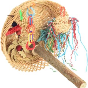 Parrot Essentials Busy Birdie Parrot Perch and bird playground, Colorful Parrot Toy Activity, Encourages Mental, Physical Exercise. Non-toxic Bird Toys For Budgie, Cockatiels, Lovebirds, Bird Perches