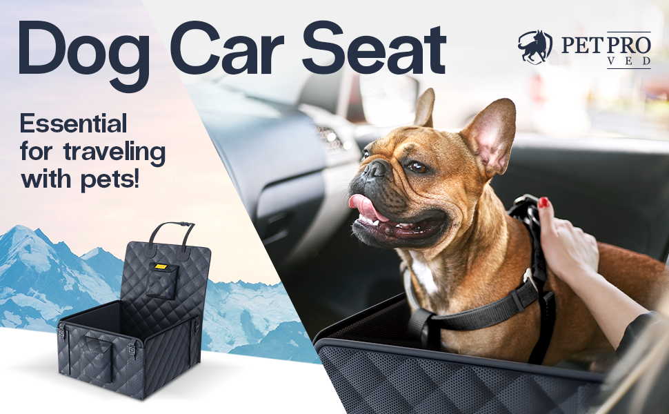 dog booster car seat