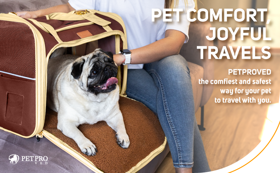 cat carriers & travel products