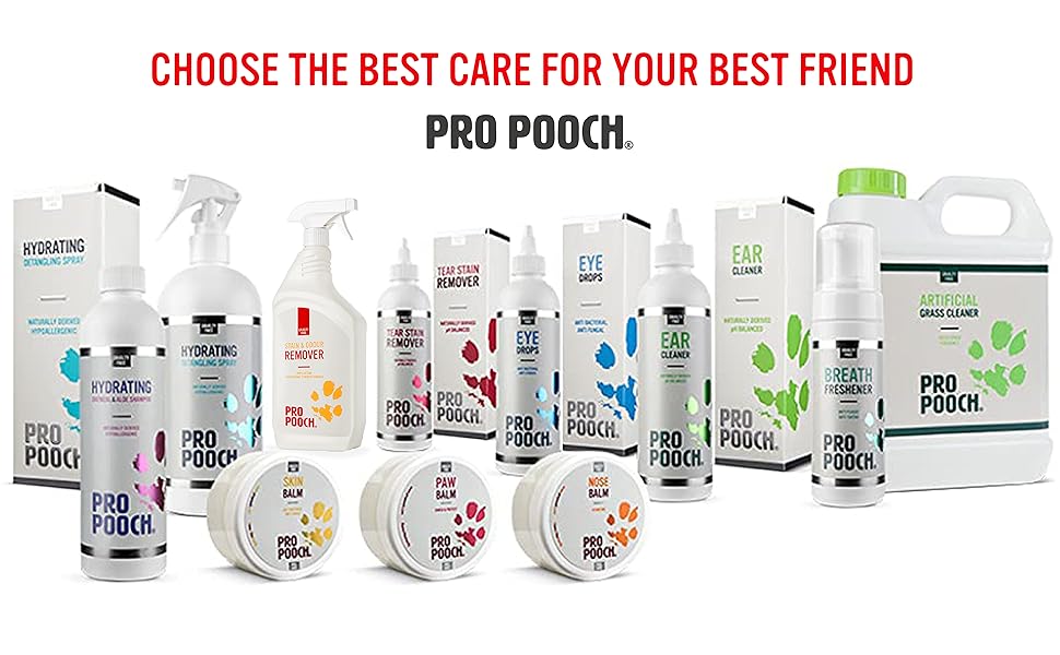 Choose the best care for your best friend