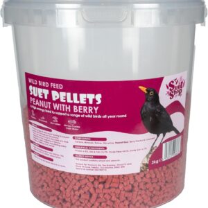 Suet Shop, Wild Bird Food Berry Flavoured Suet Pellets, High in Energy & Protein 3kg