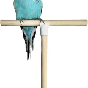 T Shape Bird Perch Stand For Small To Medium Size Birds, Natural Wooden Bird Cage Perch For Budgie, Finch etc