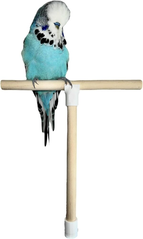 T Shape Bird Perch Stand For Small To Medium Size Birds, Natural Wooden Bird Cage Perch For Budgie, Finch etc