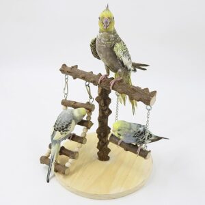 TEMU-SC Bird play stand, Bird playground, Bird perchs, Wooden Parrot Stand for Small Middle Parakeets Cockatiels Finches Budgie Lovebirds(22 * 22 * 21.5CM)